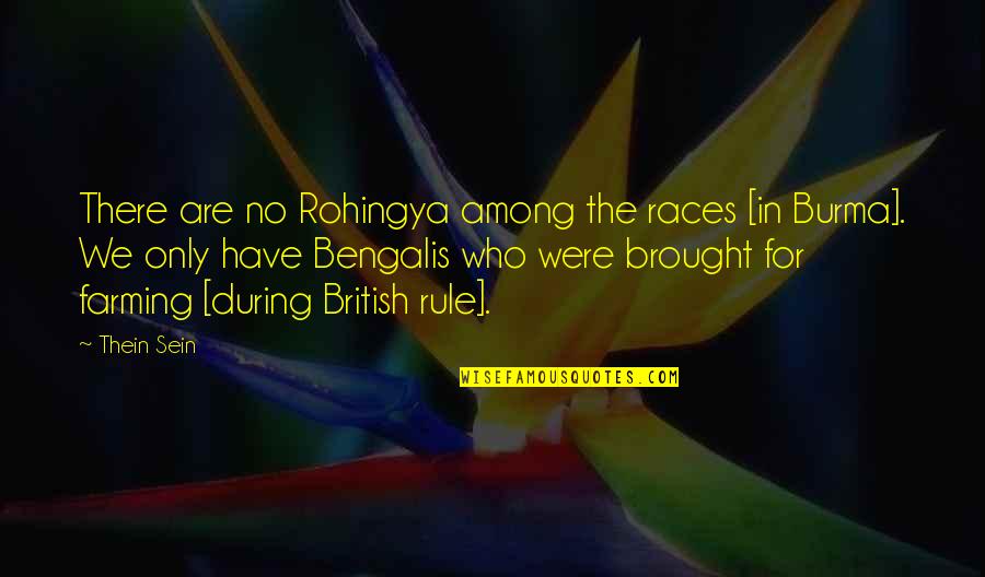 Sanguineo Significado Quotes By Thein Sein: There are no Rohingya among the races [in