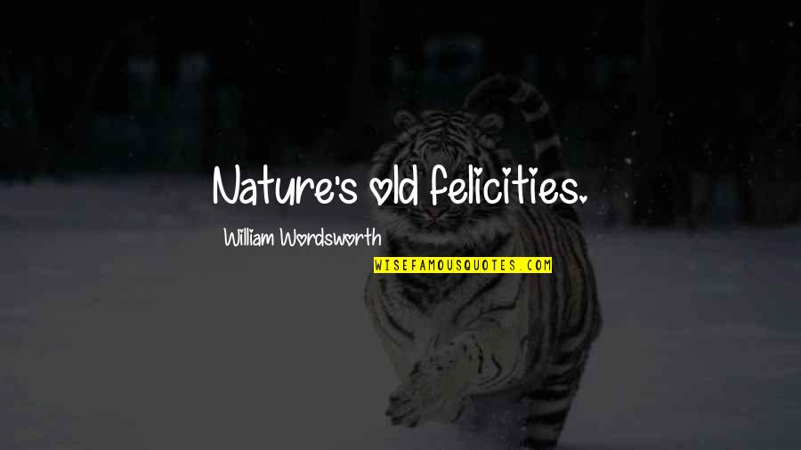 Sanjasamachar Quotes By William Wordsworth: Nature's old felicities.