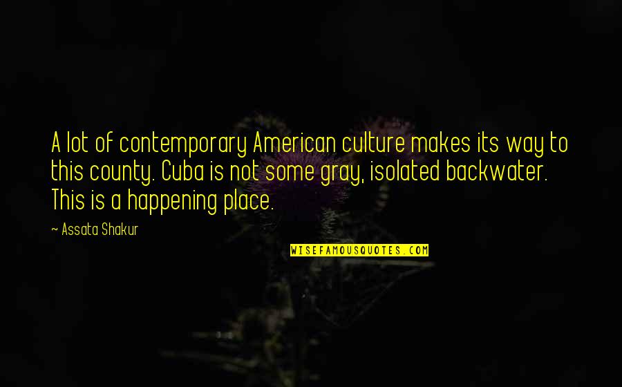 Sara Dessen Quotes By Assata Shakur: A lot of contemporary American culture makes its