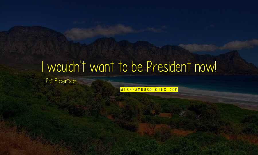 Sarah Jane Adventures Quotes By Pat Robertson: I wouldn't want to be President now!