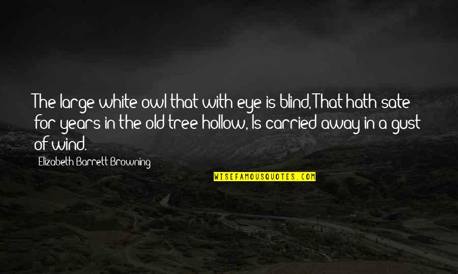 Sate Quotes By Elizabeth Barrett Browning: The large white owl that with eye is