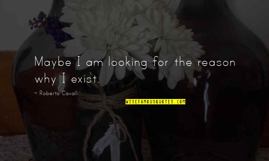 Satoko Kitahara Quotes By Roberto Cavalli: Maybe I am looking for the reason why