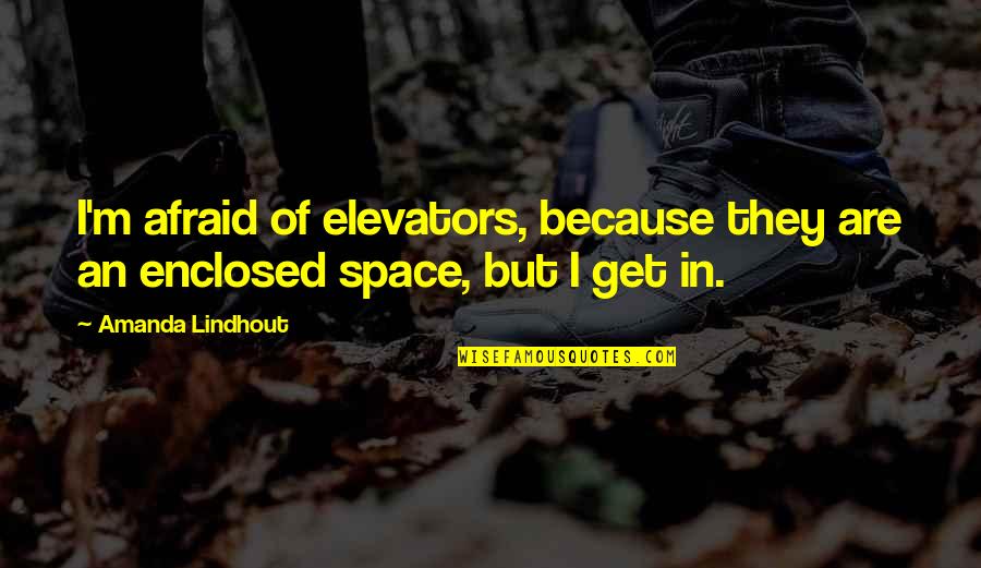 Saurio Significado Quotes By Amanda Lindhout: I'm afraid of elevators, because they are an