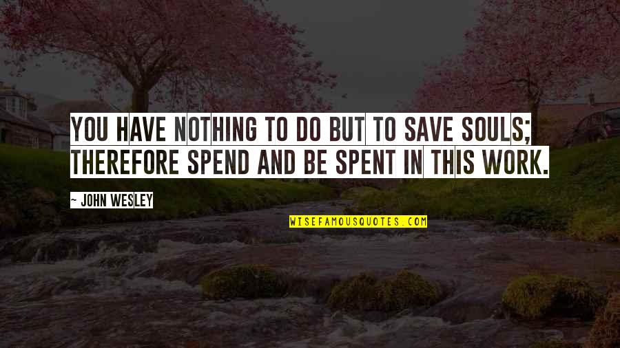 Saving Souls Quotes By John Wesley: You have nothing to do but to save