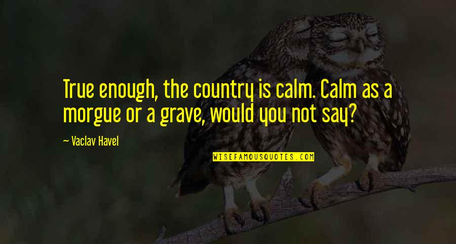 Say The True Quotes By Vaclav Havel: True enough, the country is calm. Calm as