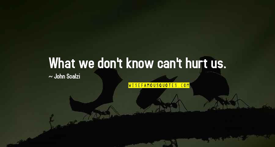 Scalzi's Quotes By John Scalzi: What we don't know can't hurt us.