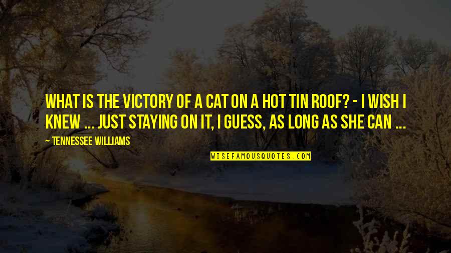 Sch Pfungszeit Quotes By Tennessee Williams: What is the victory of a cat on
