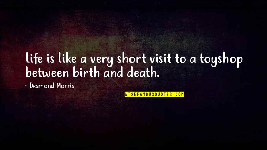 Schichtenfilter Quotes By Desmond Morris: Life is like a very short visit to