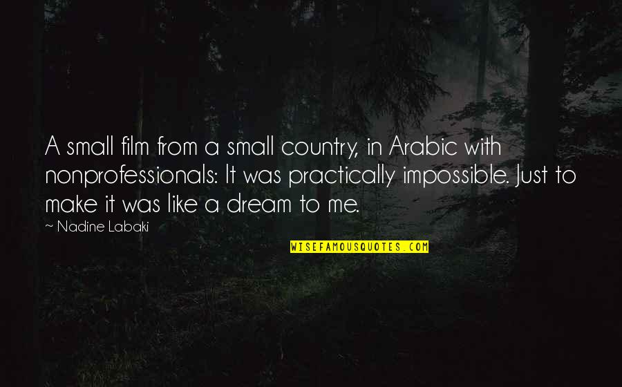 Scholastically Synonym Quotes By Nadine Labaki: A small film from a small country, in