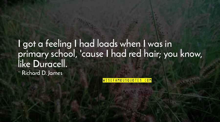 School'ry'd Quotes By Richard D. James: I got a feeling I had loads when