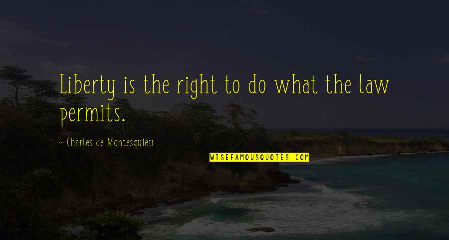 Schoonmoeder Engels Quotes By Charles De Montesquieu: Liberty is the right to do what the