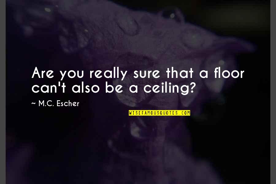 Schreiders Quotes By M.C. Escher: Are you really sure that a floor can't