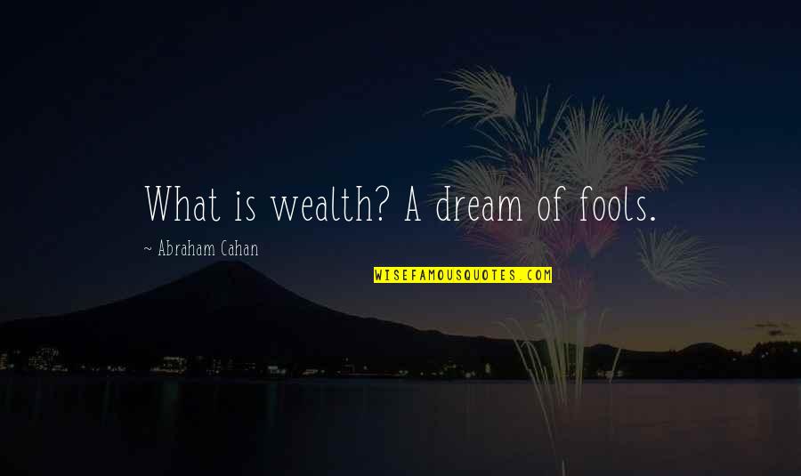 Schuler's Quotes By Abraham Cahan: What is wealth? A dream of fools.