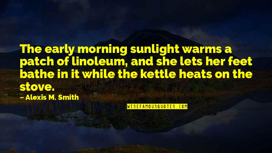 Schumacher Mercedes Benz Scottsdale Quotes By Alexis M. Smith: The early morning sunlight warms a patch of