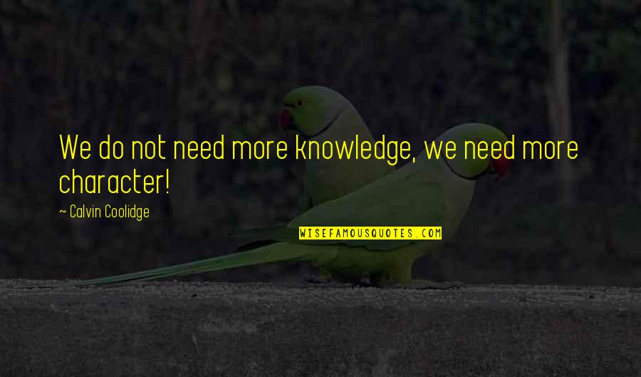Scoraggiati Quotes By Calvin Coolidge: We do not need more knowledge, we need