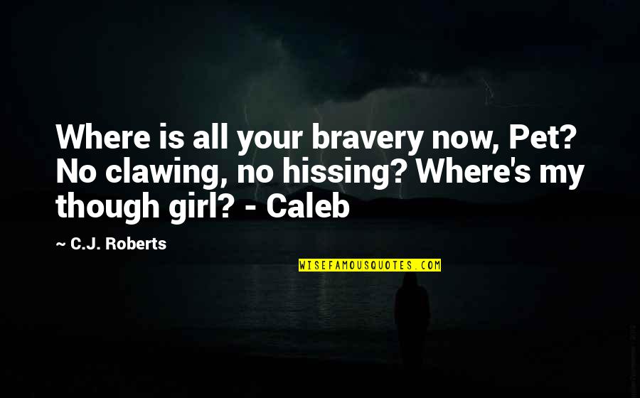 Screeches Girlfriend Quotes By C.J. Roberts: Where is all your bravery now, Pet? No