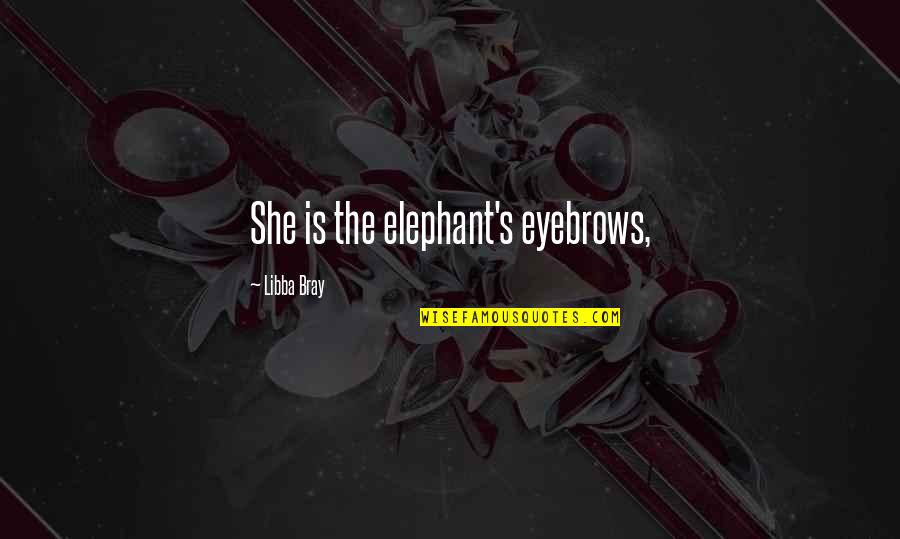 Scribblings Torrent Quotes By Libba Bray: She is the elephant's eyebrows,