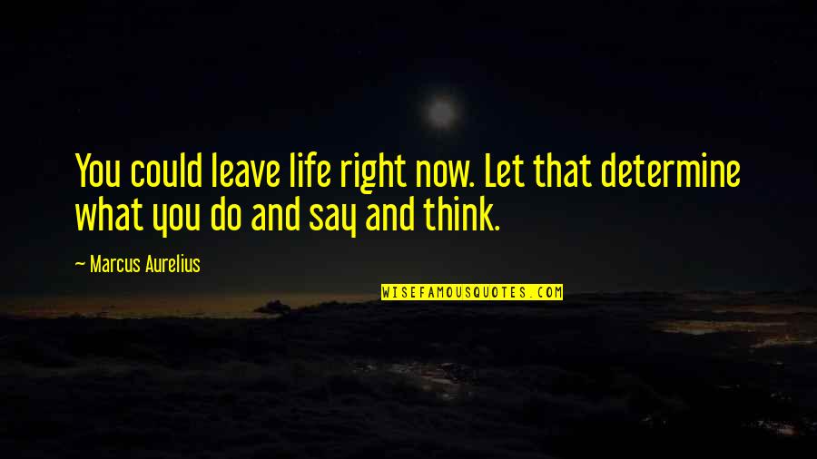 Scrubs Season 8 My Happy Place Quotes By Marcus Aurelius: You could leave life right now. Let that