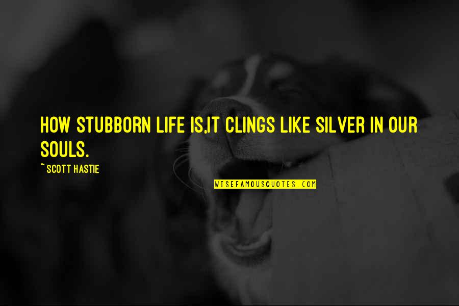 Scuttlebug Trike Quotes By Scott Hastie: How stubborn life is,It clings like silver in