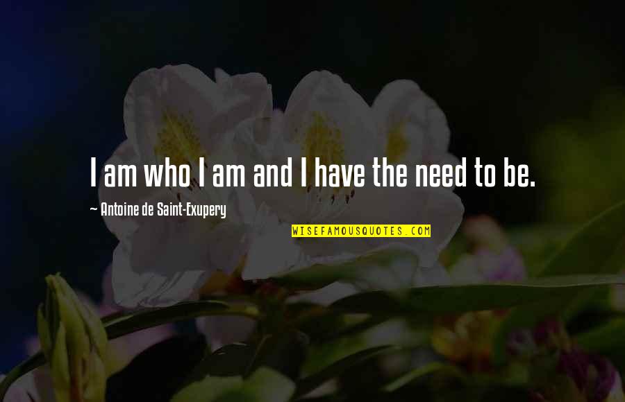 Seafarer Conor Mcpherson Quotes By Antoine De Saint-Exupery: I am who I am and I have