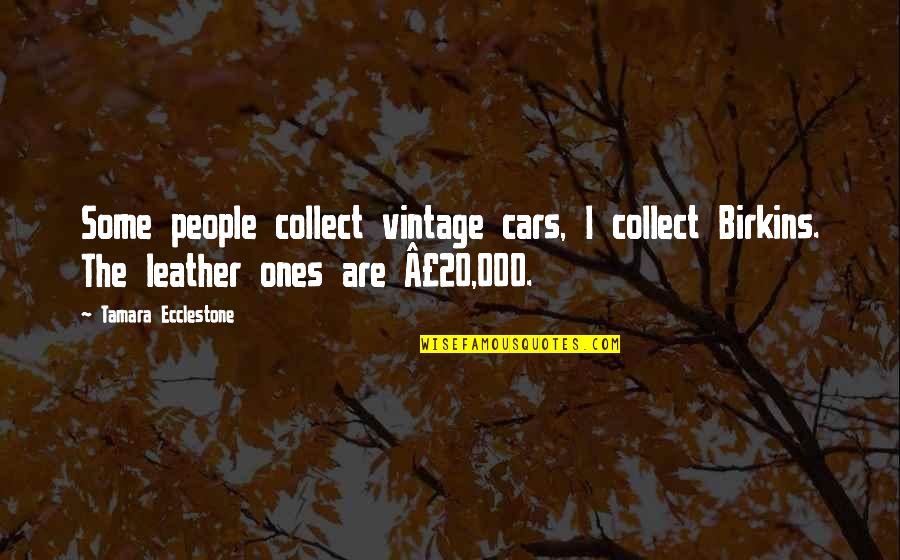 Seditions Quotes By Tamara Ecclestone: Some people collect vintage cars, I collect Birkins.