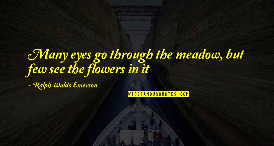 See Through Eyes Quotes By Ralph Waldo Emerson: Many eyes go through the meadow, but few