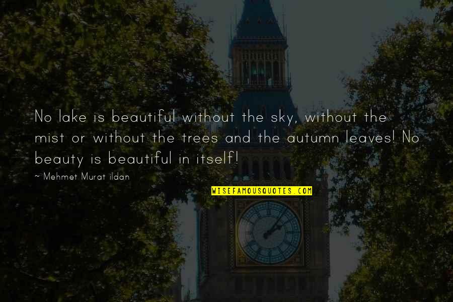 Sefedin Mucaj Quotes By Mehmet Murat Ildan: No lake is beautiful without the sky, without