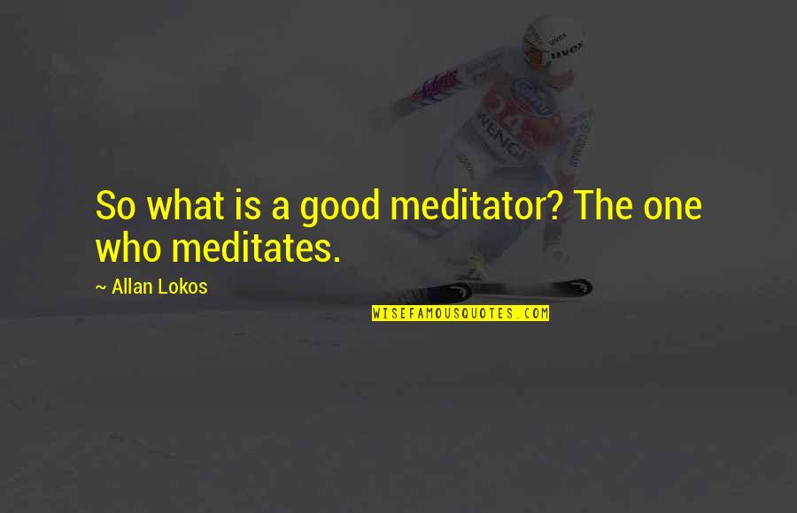 Seismological Activity Quotes By Allan Lokos: So what is a good meditator? The one