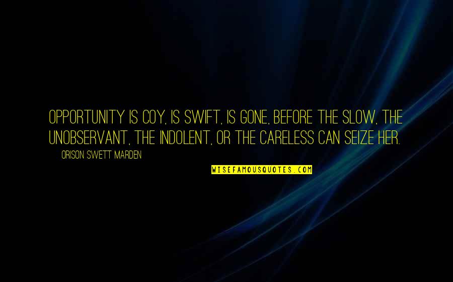 Seize The Opportunity Quotes By Orison Swett Marden: Opportunity is coy, is swift, is gone, before