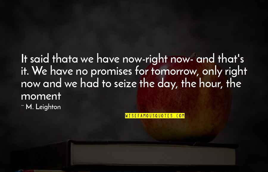 Seize This Moment Quotes By M. Leighton: It said thata we have now-right now- and