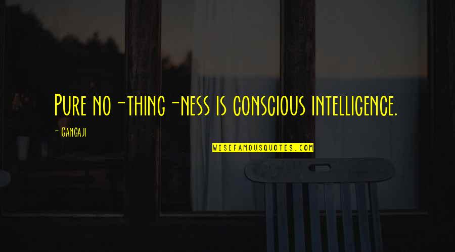 Self Composed Quotes By Gangaji: Pure no-thing-ness is conscious intelligence.