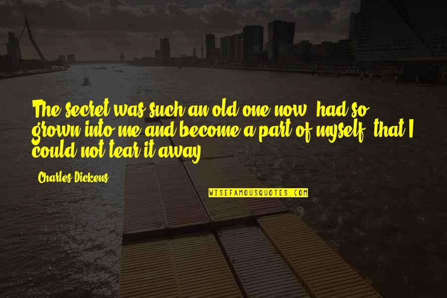 Self Created Drama Quotes By Charles Dickens: The secret was such an old one now,