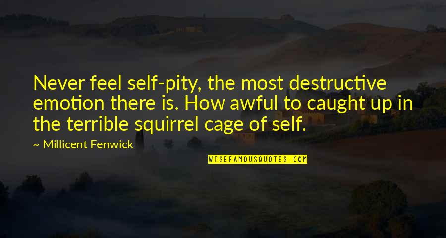 Self Destructive Quotes By Millicent Fenwick: Never feel self-pity, the most destructive emotion there