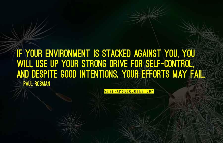 Self Drive Quotes By Paul Rosman: If your environment is stacked against you, you