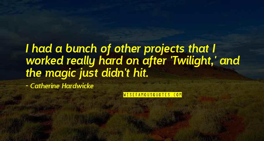 Selinger And Selinger Quotes By Catherine Hardwicke: I had a bunch of other projects that