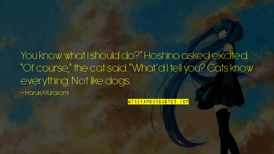 Sending You A Big Hug Quotes By Haruki Murakami: You know what I should do?" Hoshino asked