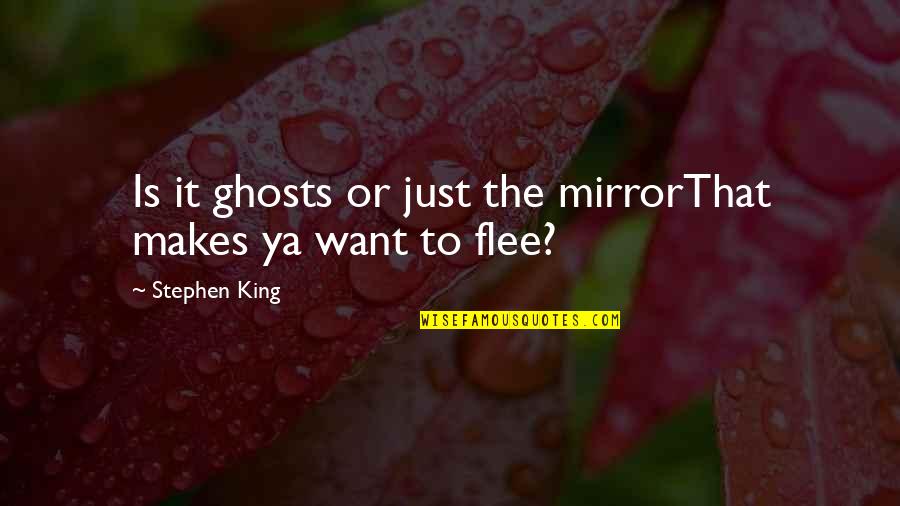 Seneque Philosophe Quotes By Stephen King: Is it ghosts or just the mirrorThat makes