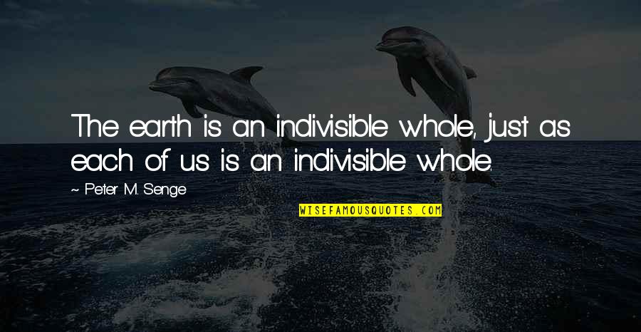 Senge Quotes By Peter M. Senge: The earth is an indivisible whole, just as