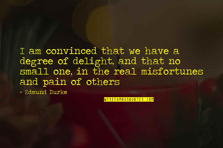 Sense That Happened Quotes By Edmund Burke: I am convinced that we have a degree