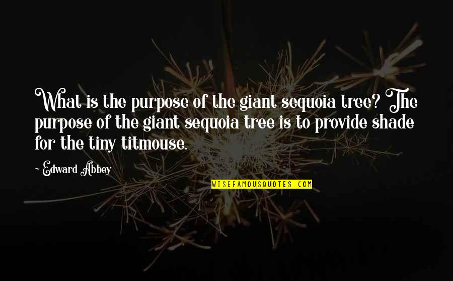 Sequoia Tree Quotes By Edward Abbey: What is the purpose of the giant sequoia