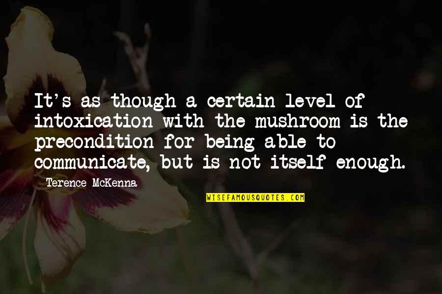 Seremala Quotes By Terence McKenna: It's as though a certain level of intoxication