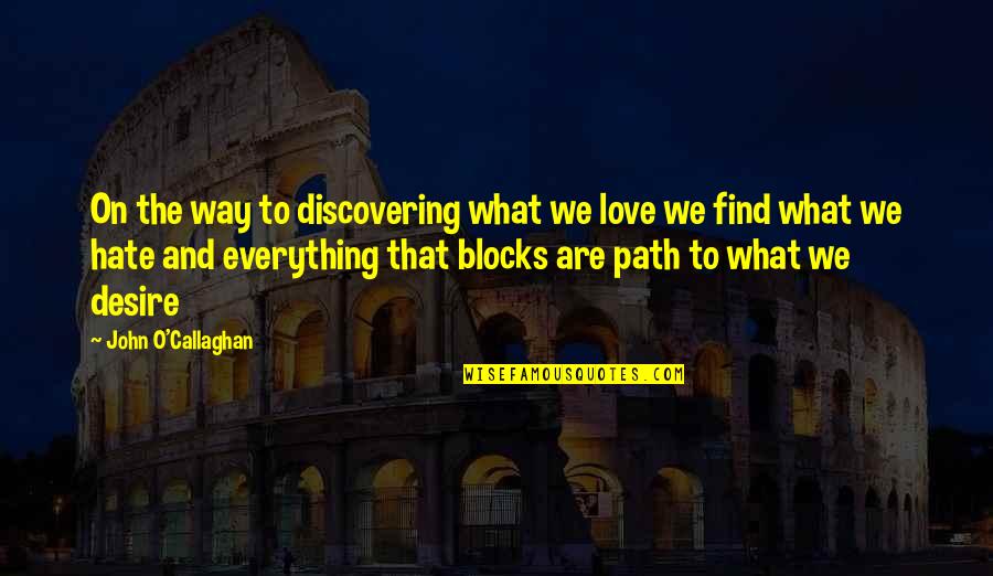 Sertes Kocsonya Quotes By John O'Callaghan: On the way to discovering what we love