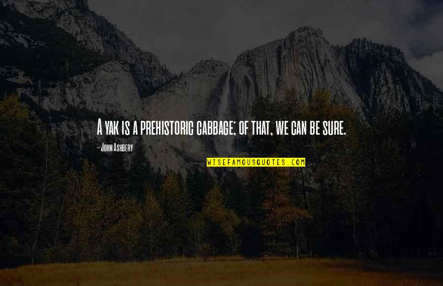 Service Satisfaction Quotes By John Ashbery: A yak is a prehistoric cabbage; of that,