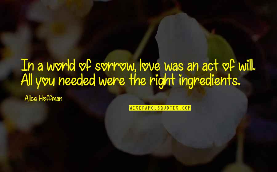 Shadha Rashed Quotes By Alice Hoffman: In a world of sorrow, love was an