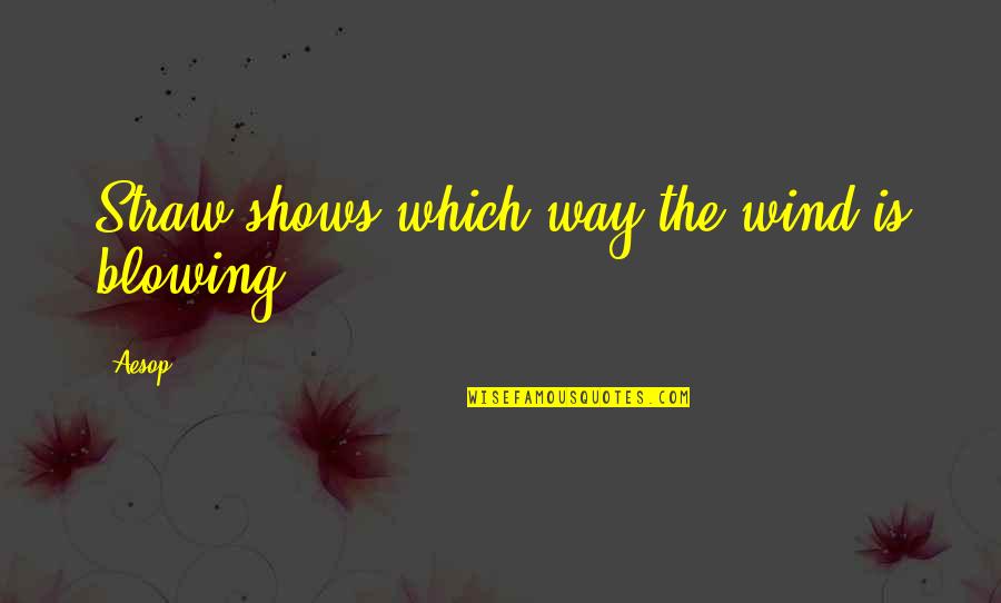 Shadowboxer Chords Quotes By Aesop: Straw shows which way the wind is blowing.