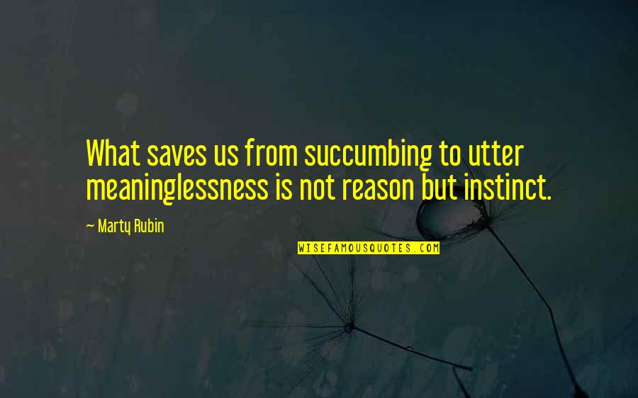 Sham Tabrizi Quotes By Marty Rubin: What saves us from succumbing to utter meaninglessness