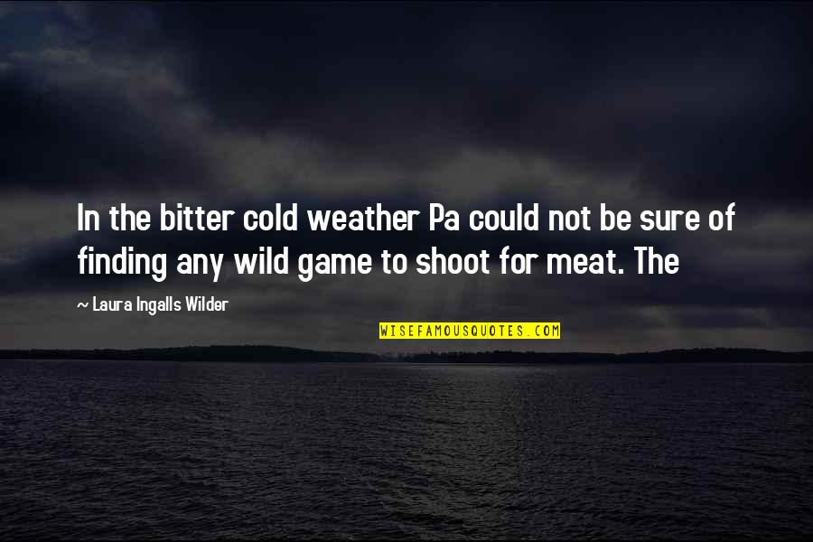 Shamengwa Summary Quotes By Laura Ingalls Wilder: In the bitter cold weather Pa could not