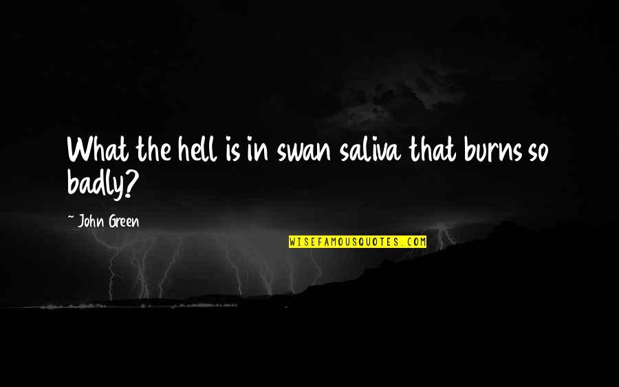 Shao Kahn Quotes By John Green: What the hell is in swan saliva that