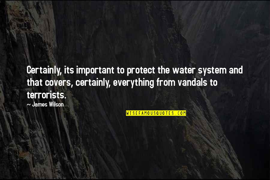 Shareable Mlk Quotes By James Wilson: Certainly, its important to protect the water system