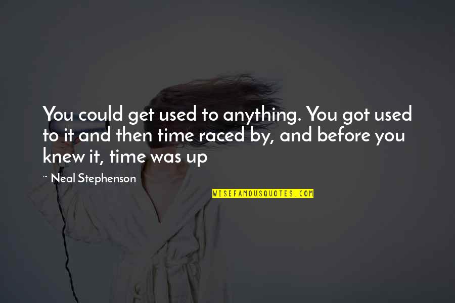 Shastra Pujan Quotes By Neal Stephenson: You could get used to anything. You got